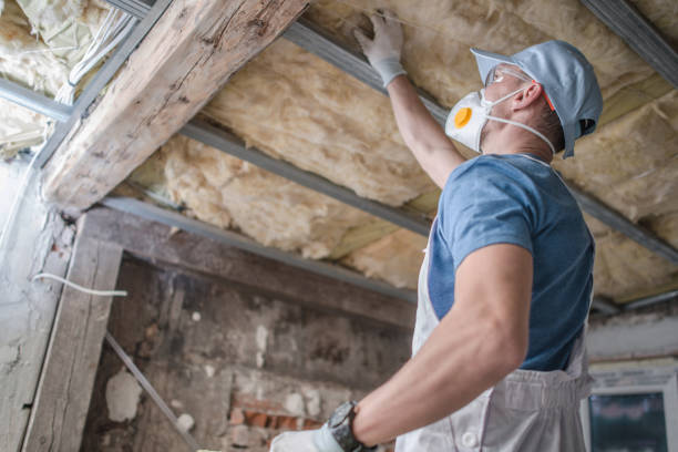 Best Geographic-Specific Insulation Services in Folsom, PA